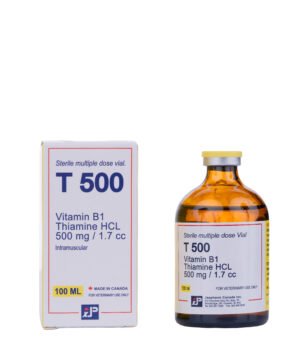 VITAMIN B1 5